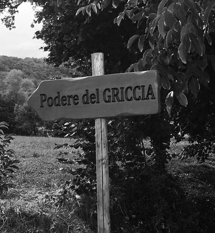 Podere Del Griccia チヴィテッラ・イン・ヴァル・ディ・キアーナ エクステリア 写真